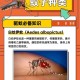 蚊子最爱的7类人,蚊子喜欢咬哪几种人？