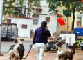 河北沧州出现巨响,河北沧州出现巨响事件