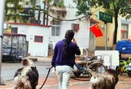 河北沧州出现巨响,河北沧州出现巨响事件