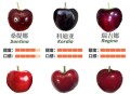智利车厘子更便宜了,智利车厘子和国产车厘子有什么区别？