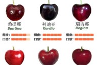 智利车厘子更便宜了,智利车厘子和国产车厘子有什么区别？