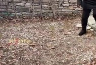 全村瞒老人儿女已故,死鬼是什么意思？