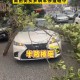 男子台风天被树砸伤,台风天,单位不放假。上班途中被树木砸到了,算不算工伤?