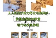 动物遭无人机射杀,无人机抓动物