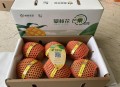 芒果礼盒内有3斤书,20箱芒果