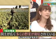 中国输美蔬菜卖日本,为什么日本人蔬菜匮乏？