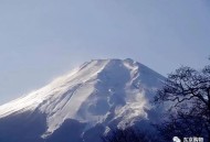 日本发放过期救济粮,在日本签证过期会受到什么处罚？