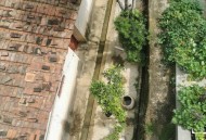 骑车被罚20躺地撒泼,贵阳传销男头目落网，居然躺地撒泼：我这辈子全完了, 你怎么看？