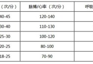 最快纪录世界唯一,吉尼斯世界纪录心率最高是多少？