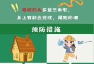 上厕所被蛇顶到屁股,被蛇爬到身上怎么办 上厕所被蛇顶到屁股,被蛇爬到身上怎么办