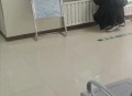 办事遇丁义珍式窗口,医院出现丁义珍式窗口，病人需要蹲着看病，该现象为何屡禁不止？