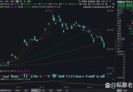 特斯拉欧洲销量崩了,特斯拉2021全球销量？