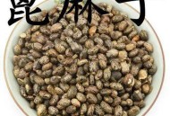 吞20粒蓖麻子致中毒,误食蓖麻子会中毒吗