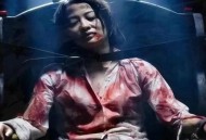 女演员家中被刺身亡,一部电视剧，一个韩国明星家里有一位女保姆，这个男明星叫这个女生大婶，求名字？