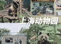 动物园花5万招司机,师生150人,参观动物园。怎样租车最合算?最少需要租金多少元?(每辆车有一个座位是司机的? 动物园花5万招司机,师生150人,参观动物园。怎样租车最合算?最少需要租金多少元?(每辆车有一个座位是司机的?
