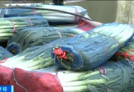 偷饭店门口8捆大葱,被偷了几棵葱可以报警吗？