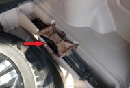 洗车未晒干全车发霉,洗车未晒干全车发霉怎么办