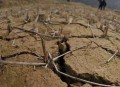 河南遭40年难遇干旱,2023年秋季河南会干旱吗？