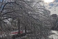 多地断崖式降温入冬,冬天突然断崖式降温了适合路亚吗？