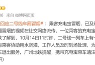 地铁乘客充电宝自燃,地铁乘客充电宝自燃事件
