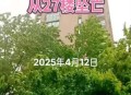 35层坠楼奇迹生还,人30米的高楼掉下来几秒？