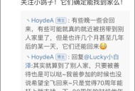 和平鸽是咋找回家的,北京和平鸽怎么来的？