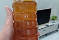 墙中挖出约野生蜂蜜,挖野生蜂蜜违法吗