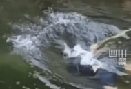 泳池溺亡30分无人救,游泳馆溺水为什么泳馆员不让救人？