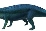 惊现2万恐龙足迹,惊现2万恐龙足迹视频