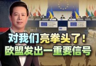 欧盟宣布对以制裁,欧盟制裁原文