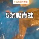广东惊现五条腿怪牛,五条腿的怪物