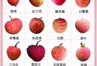 空腹吃荔枝得荔枝病,20个月宝宝可以吃荔枝吗？