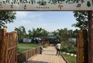 西安遍地长蘑菇,西安遍地长蘑菇的地方