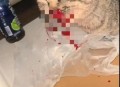 查处一屠宰猫只窝点,屠宰场杀猫