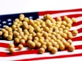 没买过美国一粒大豆,从美国进口大豆流程？