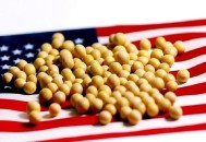没买过美国一粒大豆,从美国进口大豆流程？