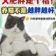 肥猫一年多减重16斤,猫没有肉能活多久？