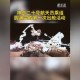 神舟二十第四次出舱,神舟二十第四次出舱是哪一年