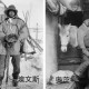 南极现冰封66年遗骸,1946年南极