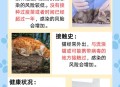 有商户现宰活猫出售,小猫感冒严重，去宠物医院注意哪些不会被宰？