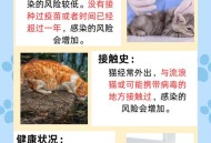 有商户现宰活猫出售,小猫感冒严重，去宠物医院注意哪些不会被宰？