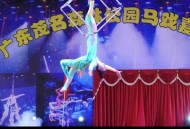 杂技演员表演中摔落,一地落叶形容什么心情？