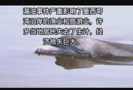 墨西哥疑现UFO舰队,墨西哥疑现ufo舰队事件