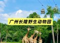 动物园花5万招司机 ,长隆野生动物园有必要开车进去吗? 动物园花5万招司机 ,长隆野生动物园有必要开车进去吗?
