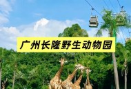 动物园花5万招司机 ,长隆野生动物园有必要开车进去吗? 动物园花5万招司机 ,长隆野生动物园有必要开车进去吗?