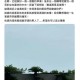 具俊晔大S墓前修照片,大s与具俊晔结婚始末？