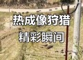 动物遭无人机射杀,无人机是由什么动物启发? 动物遭无人机射杀,无人机是由什么动物启发?
