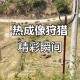 动物遭无人机射杀,无人机是由什么动物启发？