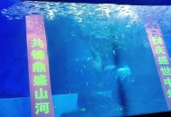 水上芭蕾如何练成的,水上芭蕾又称做什么？