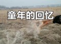 80年前的今天 ,80年前的今天发生了什么